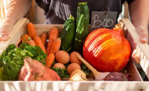 Dove comprare frutta e verdura biologica 