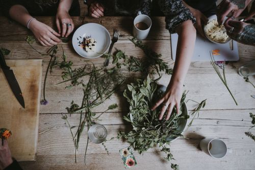 I segreti per coltivare le erbe aromatiche sul balcone