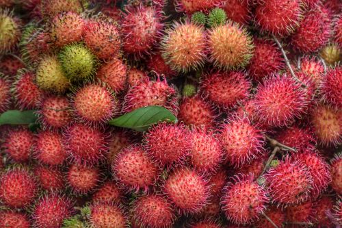 rambutan